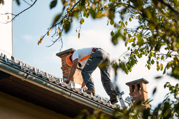 Best Roof Repair Services  in Centuria, WI